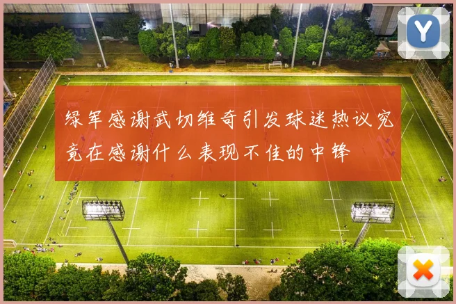 绿军感谢武切维奇引发球迷热议究竟在感谢什么表现不佳的中锋