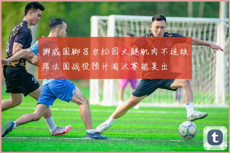 挪威国脚吕尔松因大腿肌肉不适缺席法国战役预计淘汰赛能复出